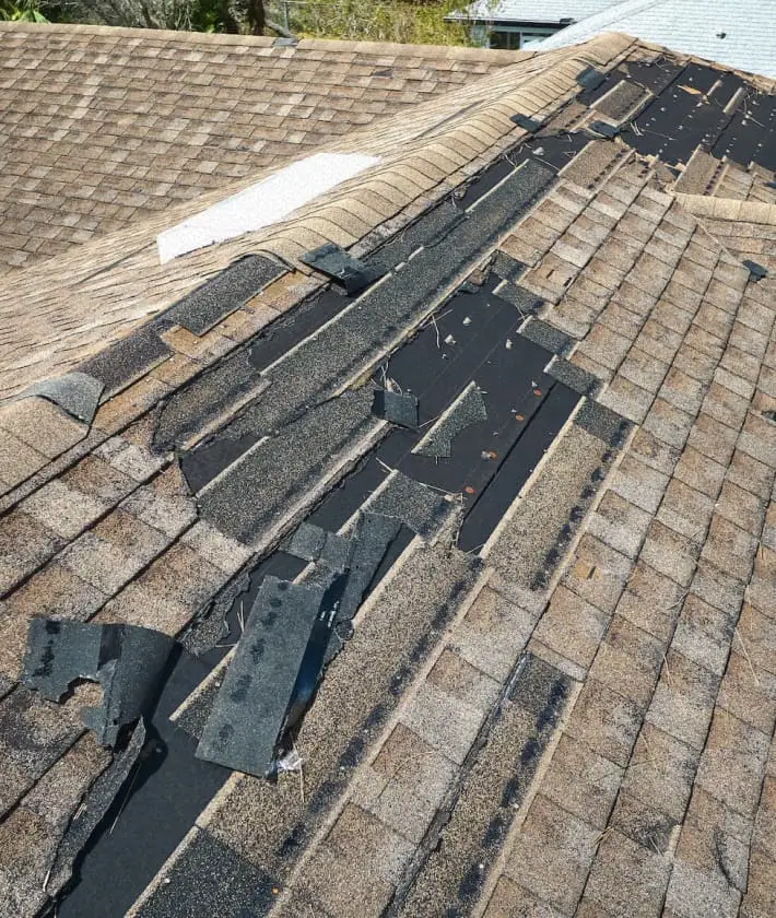 Hail Damage Homeowner Testimonial