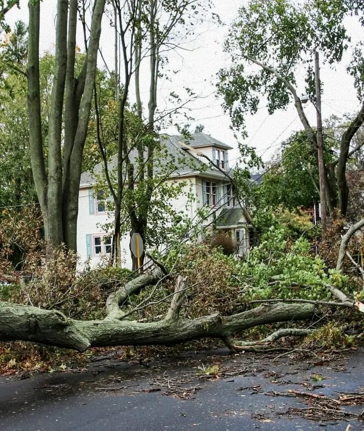 Storm Damage Homeowner Testimonial