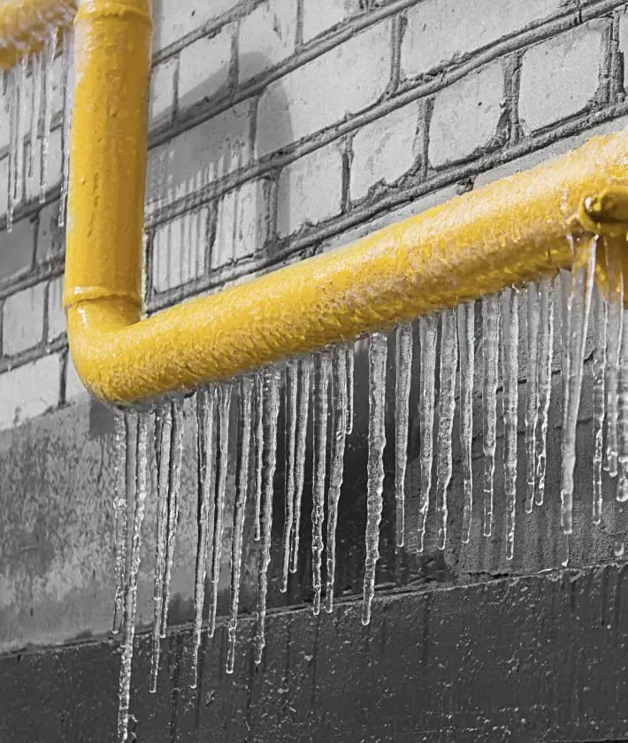 Water Damage Homeowner Testimonial