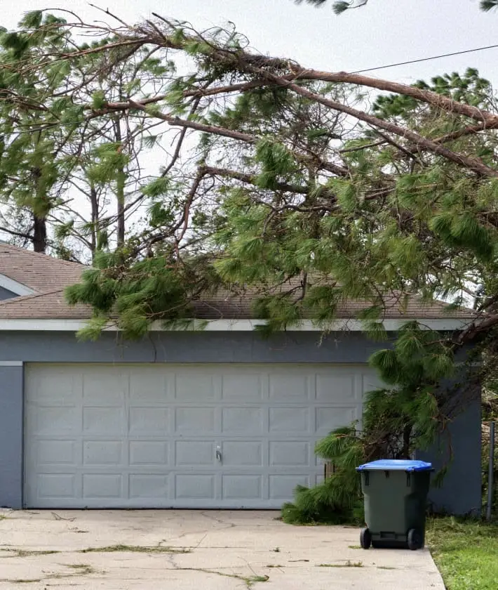 Wind Damage Homeowner Testimonial