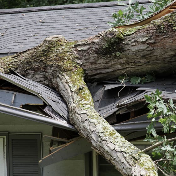 Storm Damage Insurance Claim
