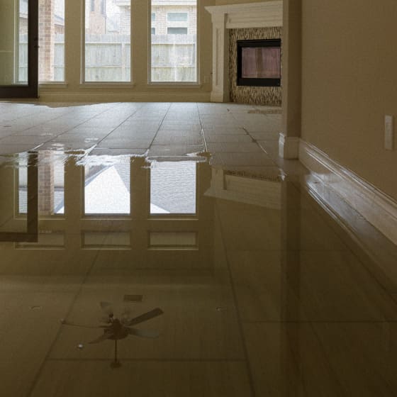 Water Damage Insurance Claim
