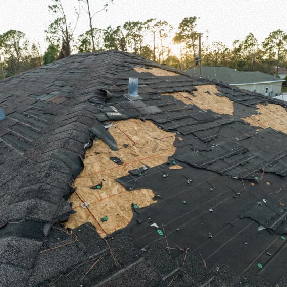 Wind Damage Insurance Claim