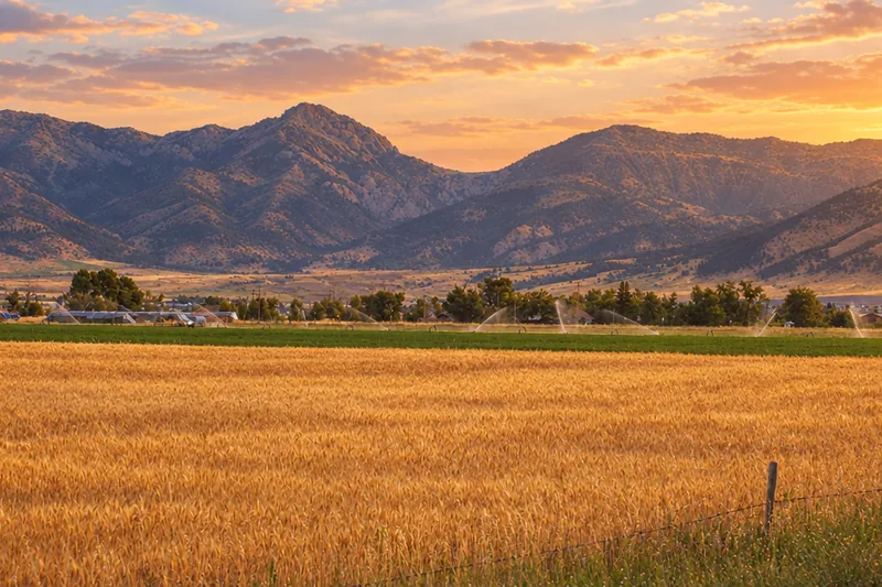Belgrade Montana in the Gallatin Valley at golden hour